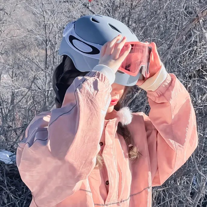 送赞雪橇犬